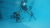 IMG_0082.jpg